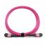 Jotec MPO kabel OM4 Female-female 2m Type A, LSZH, G12